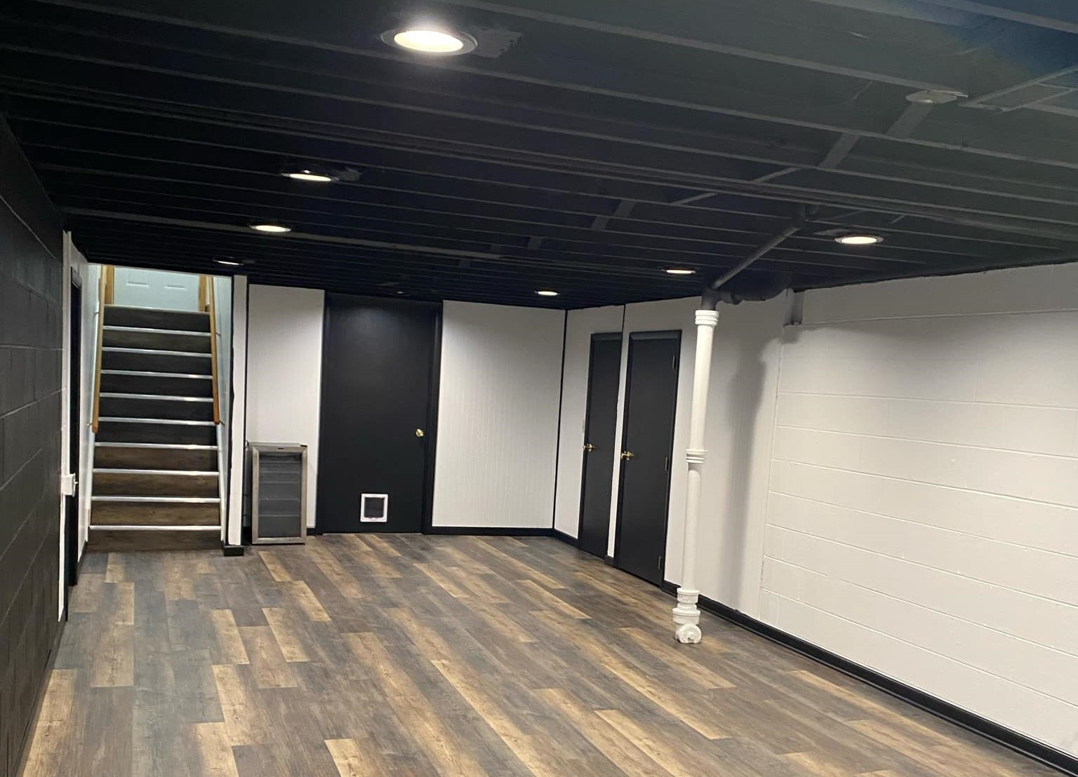 Basement Renovation